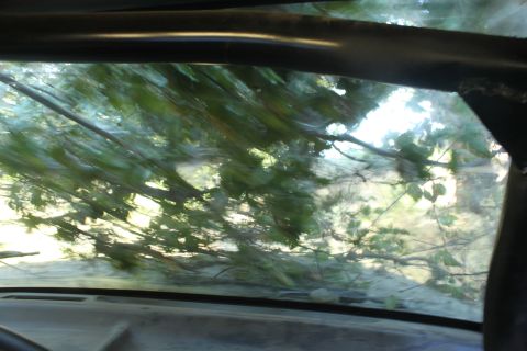 1992 Ford Bronco - View from inside a vehicle shows branches and leaves obstructing the windshield, with the Supermotors.net logo in the lower right corner.
