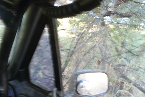 1992 Ford Bronco - Looking out the side window of a vehicle, with trees and brush visible outside.