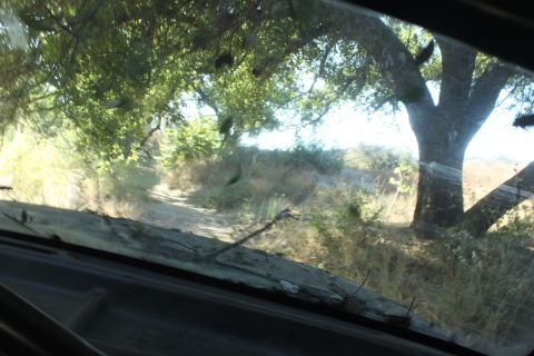 1992 Ford Bronco - View from inside a vehicle looking out at a dirt road and trees, with a watermark from Supermotors.net at the bottom right.
