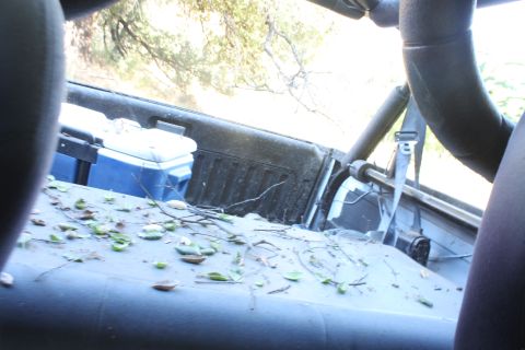 1992 Ford Bronco - The back seat of a vehicle is covered in leaves and branches, with a cooler visible.