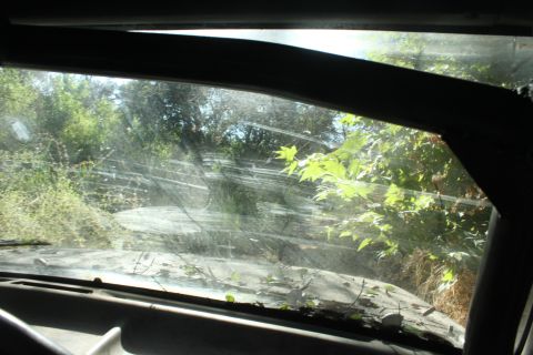 1992 Ford Bronco - The view from inside a vehicle shows a cluttered windshield and dense vegetation outside.