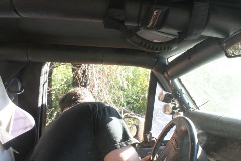 1992 Ford Bronco - View from inside a vehicle with a roll cage, looking out at the surrounding trees.