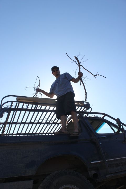 Man stands on the roof rack of a dark vehicle, holding branches against a clear blue sky