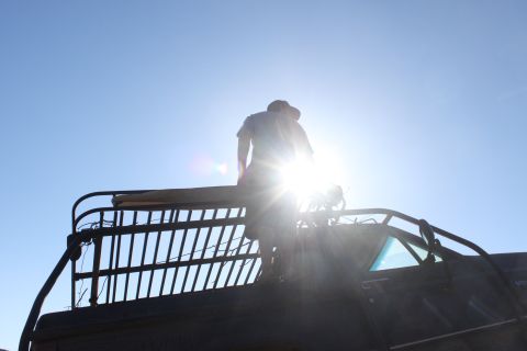 Person standing on the roof rack of a dark vehicle, silhouetted against the sun