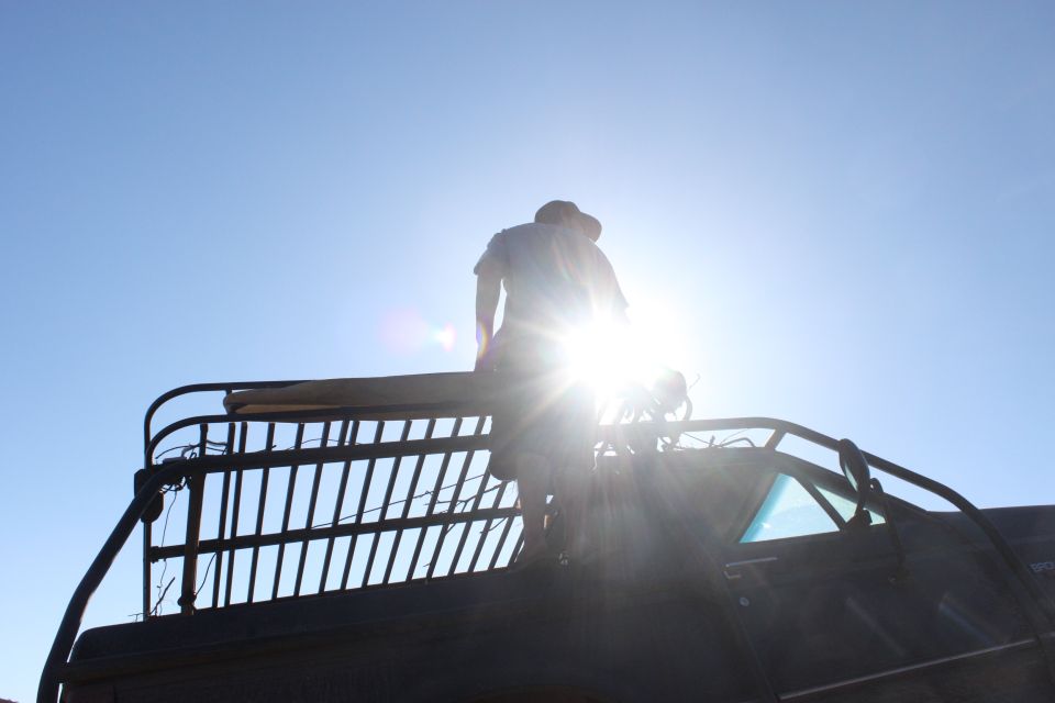 Person standing on the roof rack of a dark vehicle, silhouetted against the sun