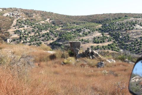 Dry grassy hillside with scattered trees and rocks