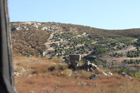 Dry grass and rocks on a hillside with scattered trees and a clear blue sky. Supermotors logo in the corner