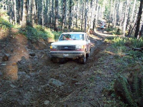 1982 Ford Bronco - A group of vehicles navigates a challenging, muddy path through a dense forest.