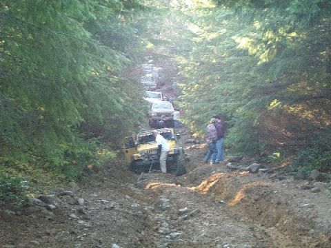 1982 Ford Bronco - A line of off-road vehicles makes its way up a challenging, muddy trail through a dense forest.