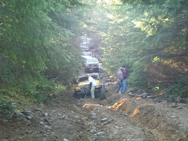 Yellow Jeep Wrangler leading a line of 4x4s up a rutted forest trail with spotters