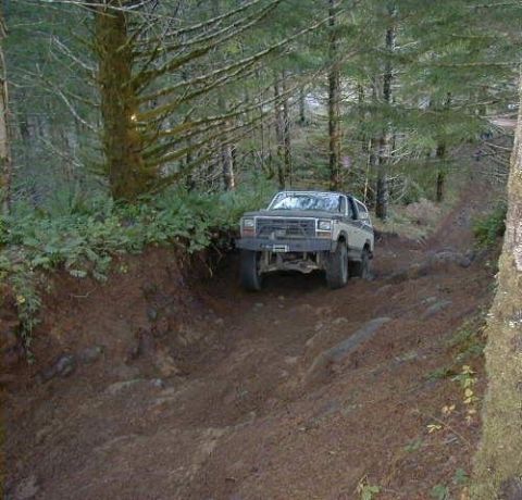 1982 Ford Bronco - A Ford Bronco navigates a steep, muddy trail surrounded by dense trees.