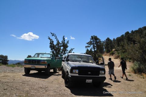 1989 Ford Bronco - Two Ford pickup trucks, one green and one blue/white, are parked on a dirt road with two people walking away.