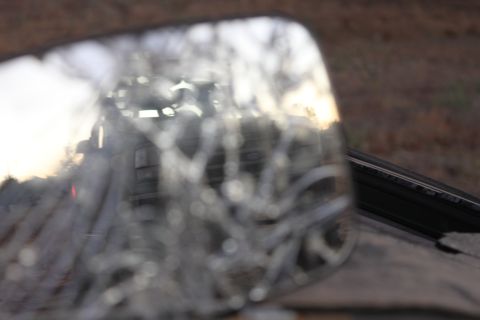 Reflection of a vehicle and trees in a side mirror