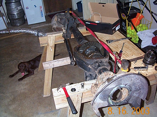 Ford solid front axle on sawhorses in a garage with differential exposed, tools around, and a brown dog lying nearby