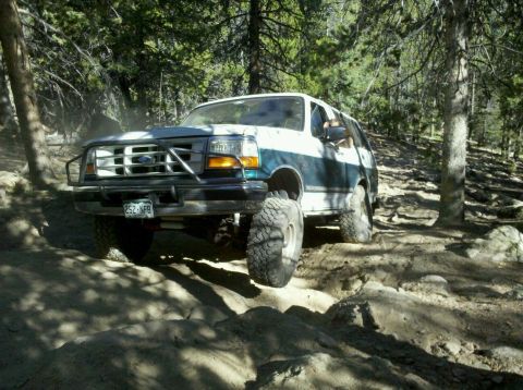 1996 Ford Bronco - This 1996 Ford Bronco navigates a challenging off-road path through a forest.