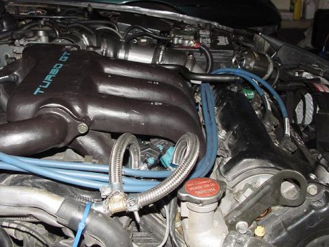 1995 Ford Probe “Black Bitch”