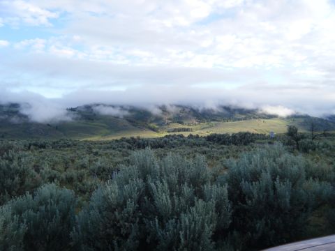 1981 Ford E350 - A scenic view of rolling hills shrouded in mist, with dense sagebrush in the foreground and a Supermotors watermark at the bottom right.