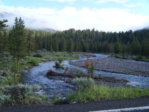 1981 Ford E350 - A scenic view of a river winding through a forest, with mist clinging to the distant mountains.