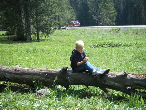 1981 Ford E350 - A red pickup truck drives along a road, with a child sitting on a fallen log in the foreground.