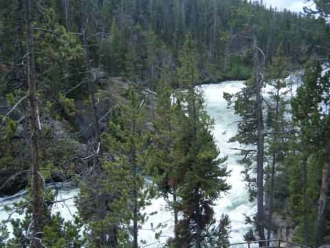 1981 Ford E350 - A wide river rushes through a dense forest, with trees lining the banks and a rocky incline visible.
