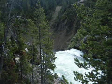 1981 Ford E350 - A powerful waterfall flows through a forested canyon, with trees framing the scene.