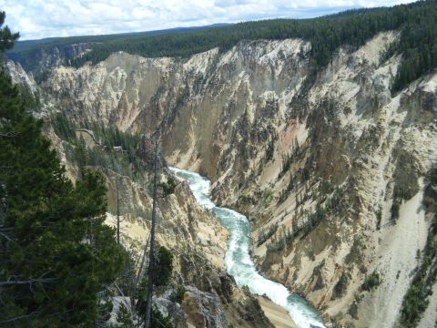 1981 Ford E350 - The Grand Canyon of the Yellowstone River flows through a vast canyon with steep, rocky walls and pine forests.