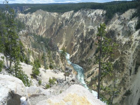 1981 Ford E350 - A wide view of the Yellowstone Grand Canyon shows a river flowing through the canyon floor.
