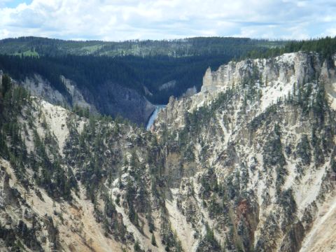 1981 Ford E350 - A scenic view of a canyon in Yellowstone National Park, a waterfall and dense pine forests on the cliffs.