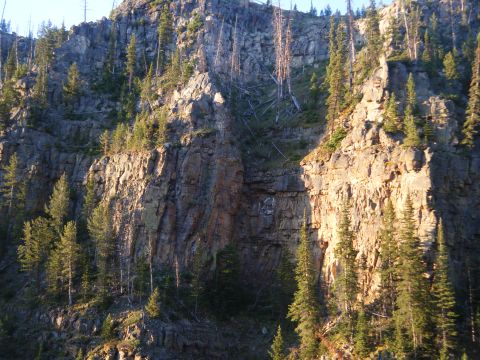 1981 Ford E350 - A natural scene of a rocky cliff face covered in pine trees, with sunlight illuminating parts of the rock.
