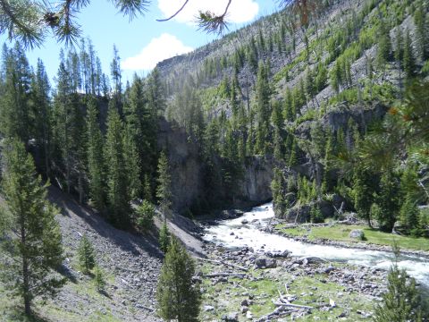 1981 Ford E350 - A scenic view of a river flowing through a valley with dense pine trees and rocky terrain.