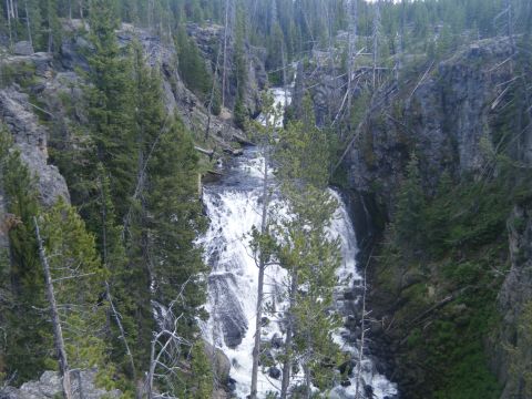 1981 Ford E350 - A scenic waterfall flows through a wooded canyon, surrounded by pine trees and rocky cliffs.