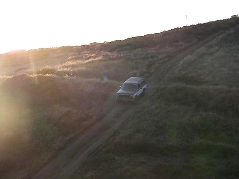 1982 Ford Bronco - A two-tone Ford Bronco navigates a grassy incline as the sun sets.
