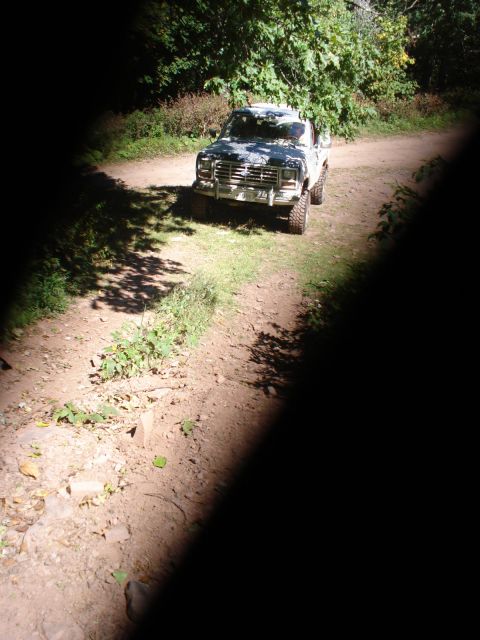 1992 Ford Bronco - This 1980s Ford F-Series truck is parked on a dirt road surrounded by trees.