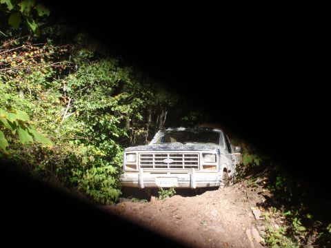 1992 Ford Bronco - Ford Bronco navigating a wooded trail, front view.