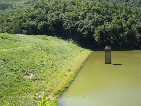 1992 Ford Bronco - A solitary water intake tower stands in a body of water, surrounded by lush greenery and trees.