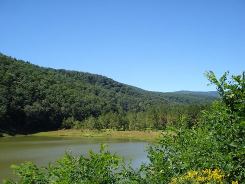 1992 Ford Bronco - A landscape a calm lake surrounded by lush green hills and trees under a bright blue sky.