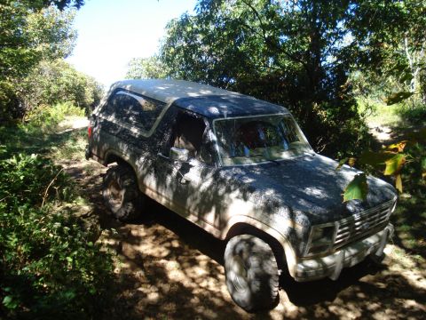 1992 Ford Bronco - A dusty Ford Bronco navigates a wooded trail under a clear blue sky.