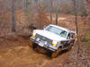 1986 Ford Bronco - A white Ford Bronco navigates a wooded area on a dirt path.