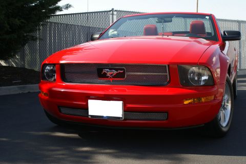 2006 Ford Mustang photo