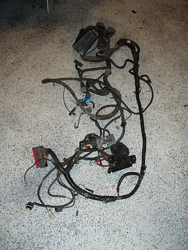2007 Ford Mustang - An automotive wiring harness is shown laid out on a concrete surface.