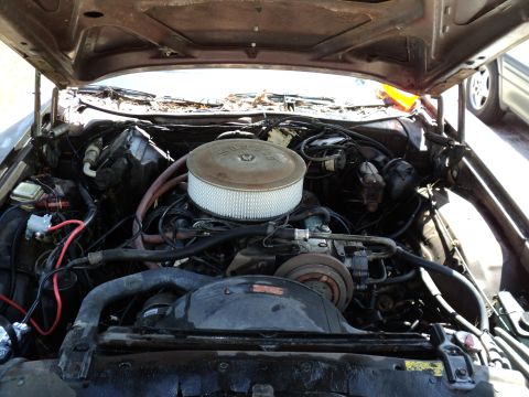 1974 Ford Elite - View of the engine bay, showing various mechanical parts and hoses.