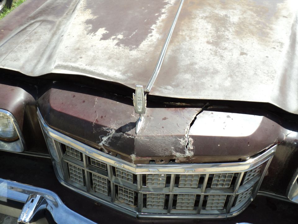 Hood and grille of a damaged brown Ford, showing a cracked hood ornament and dented grille
