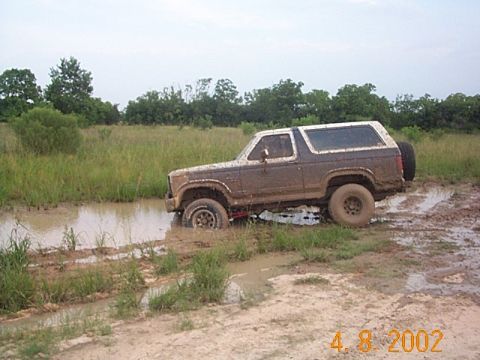 1986 Ford Bronco - Muddy 1986 Ford Bronco is stuck in a ditch with water and tall grass.