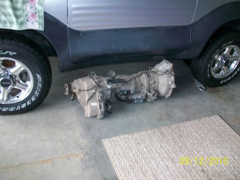 1999 Isuzu Vehicross “Bugzy”