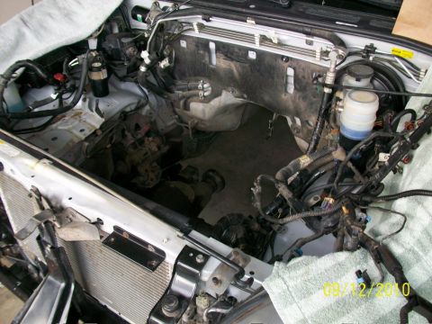 1999 Isuzu Vehicross “Bugzy”