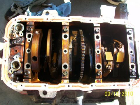 1999 Isuzu Vehicross “Bugzy”