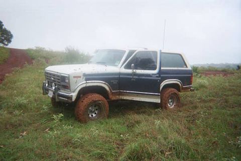 1986 Ford Bronco - This Ford Bronco appears to be from the early 1980s, not a 1986 model, based on its body style.