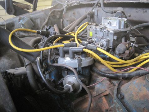 1979 Ford Bronco - The engine bay features a carburetor and distributor, with yellow spark plug wires connected.