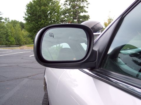 2001 Ford Crown Victoria - A close-up view of a vehicle's side mirror and door panel, with trees and a road in the background.