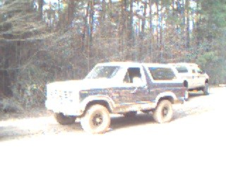1986 Ford Bronco - stock